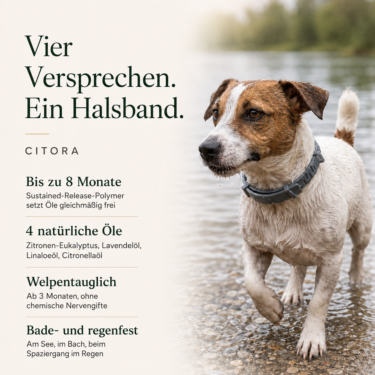 Citora Anti Zeckenhalsband