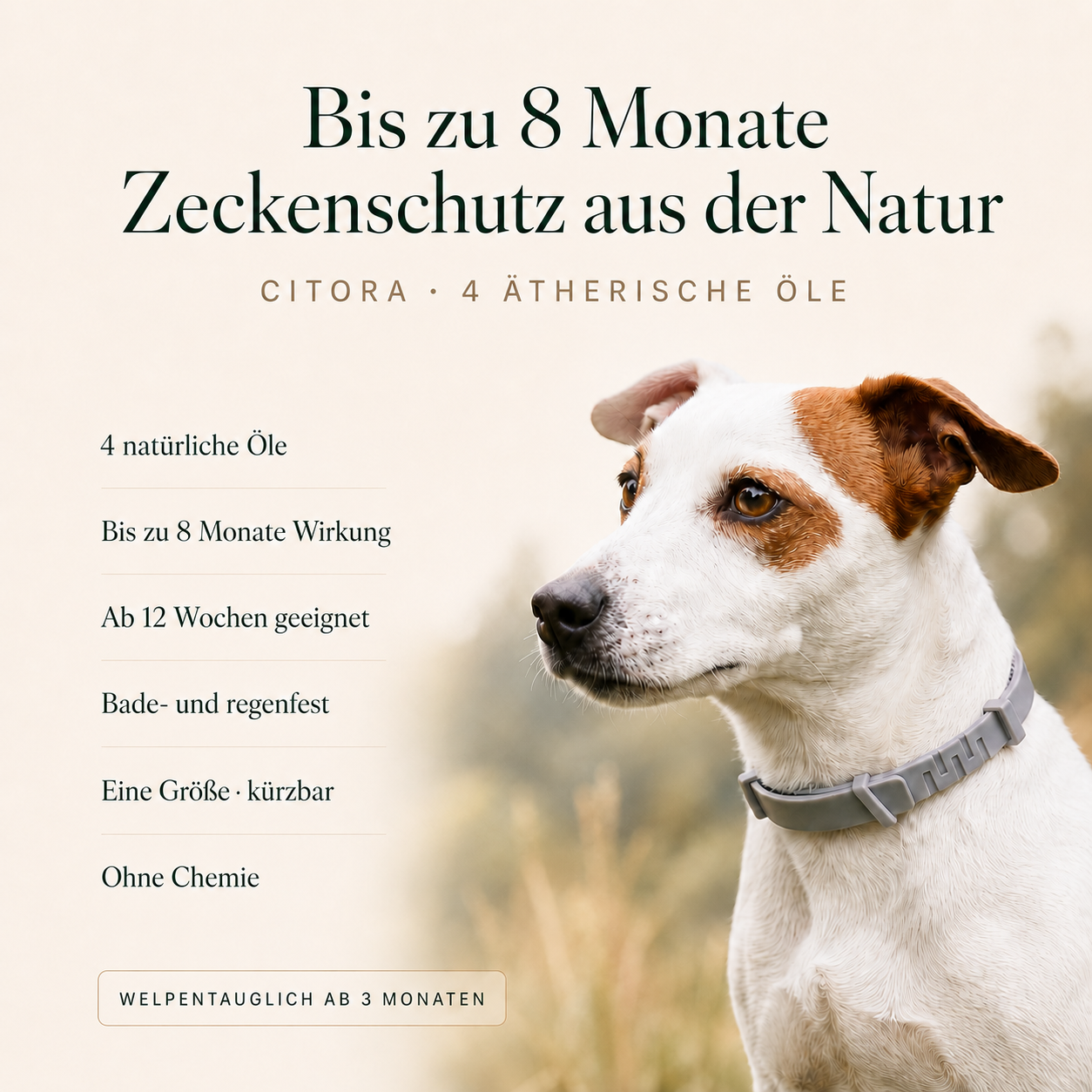Citora Anti Zeckenhalsband