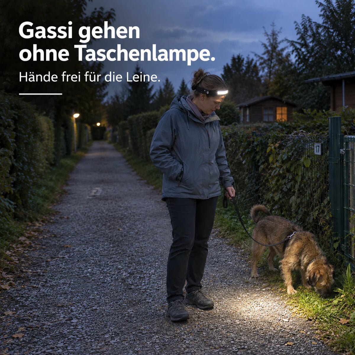 Gassi gehen ohne Taschenlampe: Frau mit LeuchtPro am Kopf und Hund auf dem Feldweg