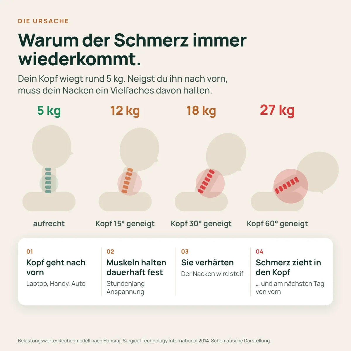 Kopf nach vorn geneigt: 5 kg aufrecht, 12 kg bei 15 Grad, 18 kg bei 30 Grad, 27 kg bei 60 Grad.