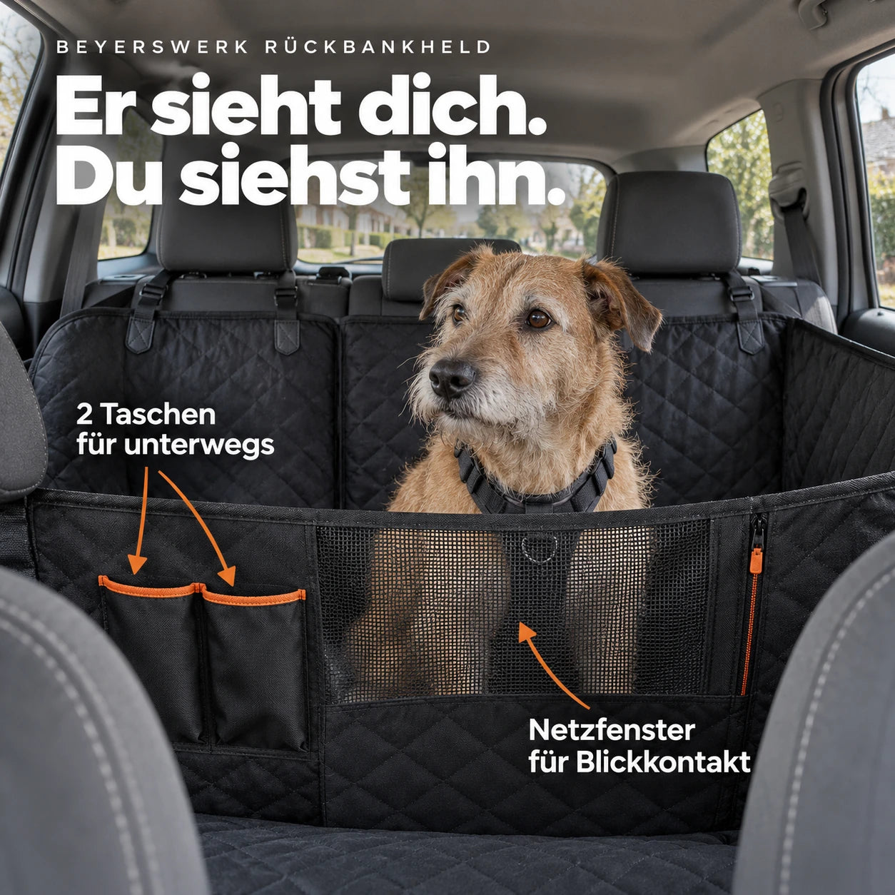Hund im Geschirr hinter dem Netzfenster; Pfeile erklären Blickkontakt und zwei Taschen
